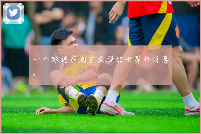 一个球迷在淘宝发现的世界杯惊喜。